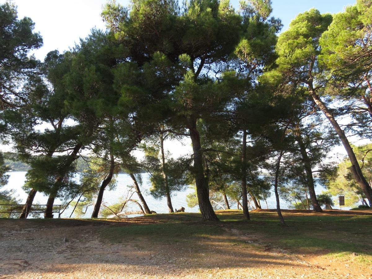 Apartments Mira Medulin Dış mekan fotoğraf